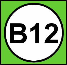 B12.png